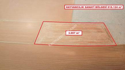 Kütahya Aslanapa Cumhuriyet' De 3997 M2 Satılık Tarla 7