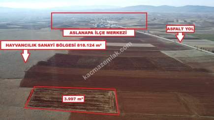 Kütahya Aslanapa Cumhuriyet' De 3997 M2 Satılık Tarla 2