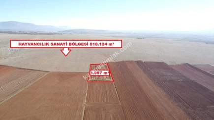 Kütahya Aslanapa Cumhuriyet' De 3997 M2 Satılık Tarla 11