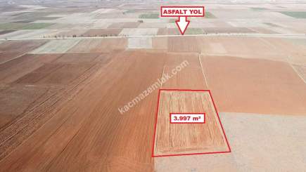 Kütahya Aslanapa Cumhuriyet' De 3997 M2 Satılık Tarla 17