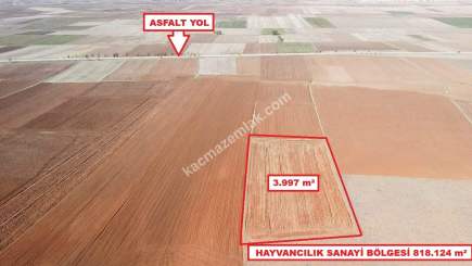Kütahya Aslanapa Cumhuriyet' De 3997 M2 Satılık Tarla 10