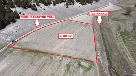 Kütahya Aslanapa Örenköy 4100 M2 Satılık Tarla 9