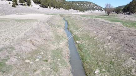 Kütahya Aslanapa Örenköy 4100 M2 Satılık Tarla 16