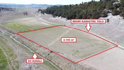 Kütahya Aslanapa Örenköy 4100 M2 Satılık Tarla 4