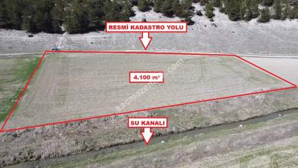 Kütahya Aslanapa Örenköy 4100 M2 Satılık Tarla 6