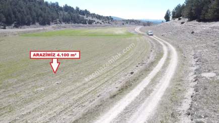 Kütahya Aslanapa Örenköy 4100 M2 Satılık Tarla 20