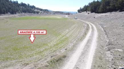 Kütahya Aslanapa Örenköy 4100 M2 Satılık Tarla 17