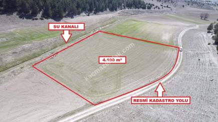 Kütahya Aslanapa Örenköy 4100 M2 Satılık Tarla 2