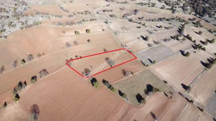 Kütahya Aslanapa Pazarcık 3107M2 Satılık Tarla 24