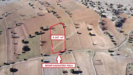 Kütahya Aslanapa Pazarcık 3107M2 Satılık Tarla 14