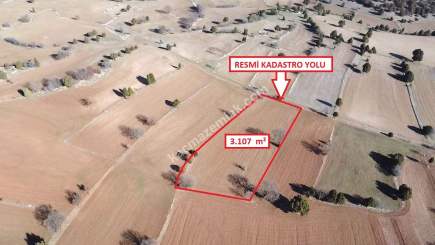 Kütahya Aslanapa Pazarcık 3107M2 Satılık Tarla 2