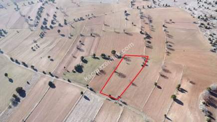 Kütahya Aslanapa Pazarcık 3107M2 Satılık Tarla 29