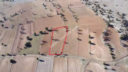 Kütahya Aslanapa Pazarcık 3107M2 Satılık Tarla 19
