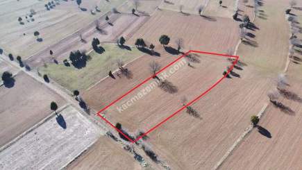 Kütahya Aslanapa Pazarcık 3107M2 Satılık Tarla 20