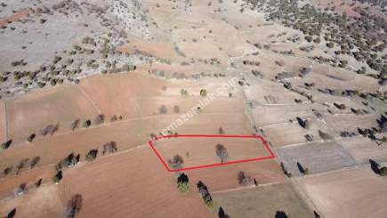 Kütahya Aslanapa Pazarcık 3107M2 Satılık Tarla 30