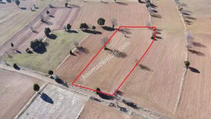 Kütahya Aslanapa Pazarcık 3107M2 Satılık Tarla 27