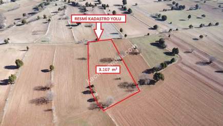Kütahya Aslanapa Pazarcık 3107M2 Satılık Tarla 18