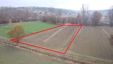 Kütahya Merkez Ahiler' De Satılık 1625M2 Tarla 2