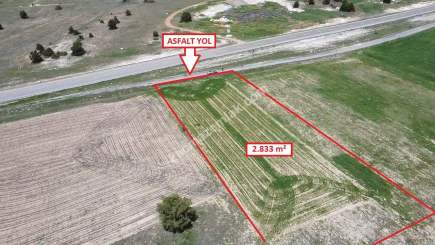 Kütahya Merkez Doğalar'da 2833M2 Satılık Tarla 20