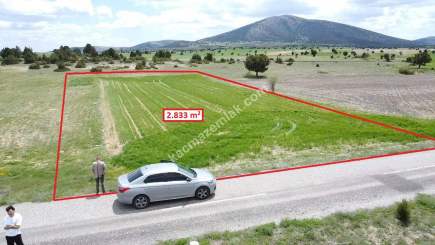 Kütahya Merkez Doğalar'da 2833M2 Satılık Tarla 10