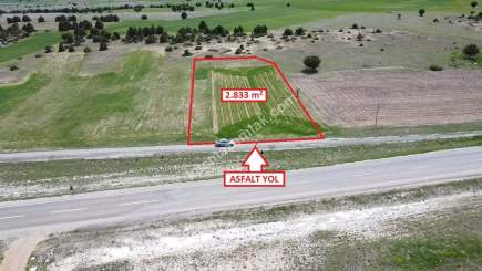 Kütahya Merkez Doğalar'da 2833M2 Satılık Tarla 19