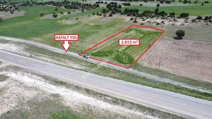 Kütahya Merkez Doğalar'da 2833M2 Satılık Tarla 8