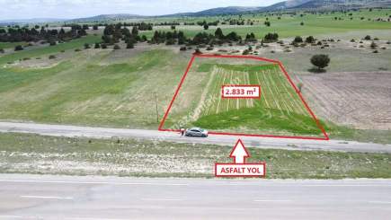 Kütahya Merkez Doğalar'da 2833M2 Satılık Tarla 25