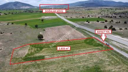 Kütahya Merkez Doğalar'da 2833M2 Satılık Tarla 2