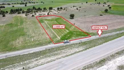 Kütahya Merkez Doğalar'da 2833M2 Satılık Tarla 18