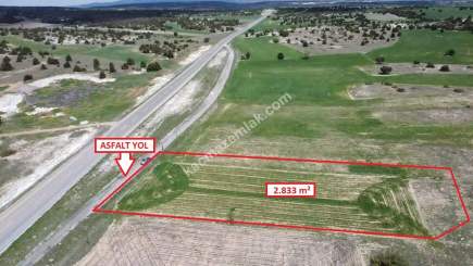 Kütahya Merkez Doğalar'da 2833M2 Satılık Tarla 12