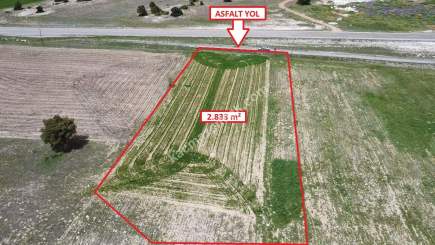 Kütahya Merkez Doğalar'da 2833M2 Satılık Tarla 15