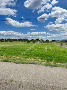 Kütahya Merkez Doğalar'da 2833M2 Satılık Tarla 21