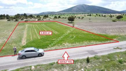 Kütahya Merkez Doğalar'da 2833M2 Satılık Tarla 4
