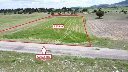 Kütahya Merkez Doğalar'da 2833M2 Satılık Tarla 9