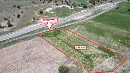 Kütahya Merkez Doğalar'da 2833M2 Satılık Tarla 13