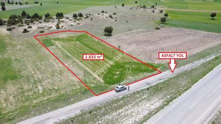 Kütahya Merkez Doğalar'da 2833M2 Satılık Tarla 14