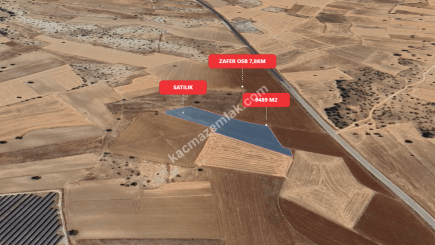 Kütahya Merkez Doğalarda 9489 M2 Satılık Tarla 9