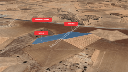 Kütahya Merkez Doğalarda 9489 M2 Satılık Tarla 7