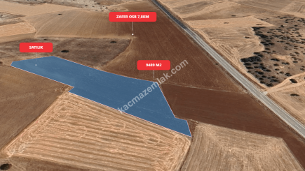 Kütahya Merkez Doğalarda 9489 M2 Satılık Tarla 12