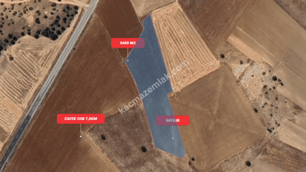 Kütahya Merkez Doğalarda 9489 M2 Satılık Tarla 6