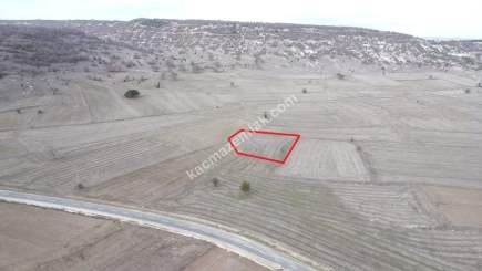 Kütahya Merkez Seydiköy 1838 M2 Satılık Tarla 1