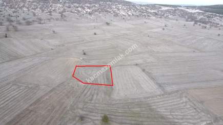 Kütahya Merkez Seydiköy 1838 M2 Satılık Tarla 29