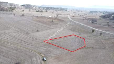 Kütahya Merkez Seydiköy 1838 M2 Satılık Tarla 23