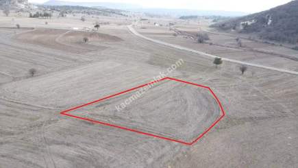 Kütahya Merkez Seydiköy 1838 M2 Satılık Tarla 22