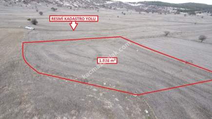 Kütahya Merkez Seydiköy 1838 M2 Satılık Tarla 6