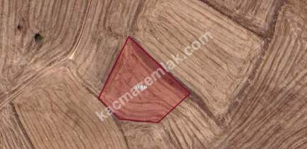 Kütahya Merkez Seydiköy 1838 M2 Satılık Tarla 3