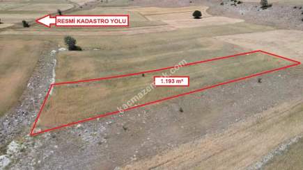 Kütahya Merkeze 13Km! Uluköyde 1.193M² Satılık Tarla 2
