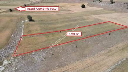 Kütahya Merkeze 13Km! Uluköyde 1.193M² Satılık Tarla 22