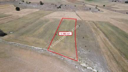 Kütahya Merkeze 13Km! Uluköyde 1.193M² Satılık Tarla 18