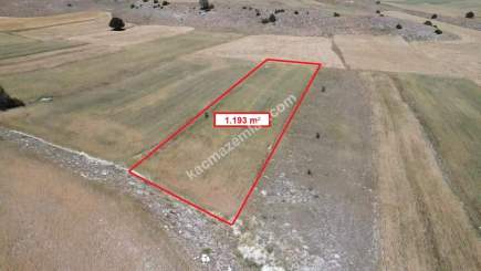 Kütahya Merkeze 13Km! Uluköyde 1.193M² Satılık Tarla 20